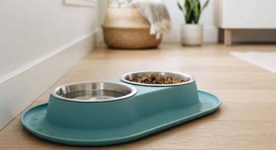 DuoFeed Steel Bowls — alternate view