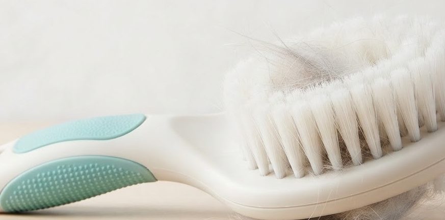 SilkySoft Groomer — detail view
