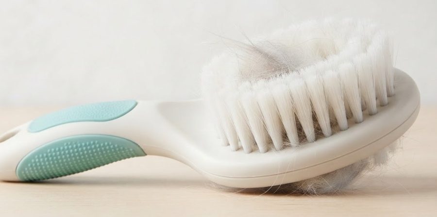SilkySoft Groomer — alternate view